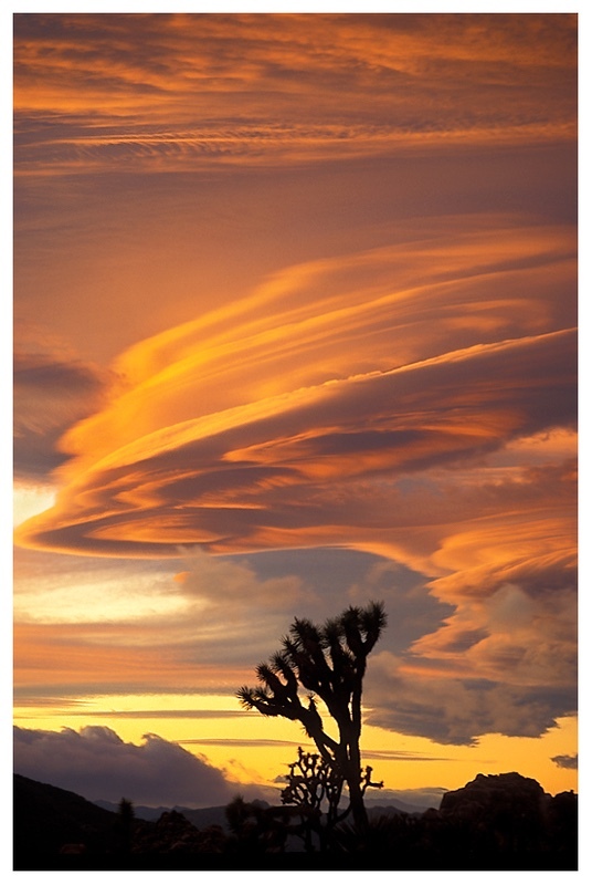  - Desert Vision