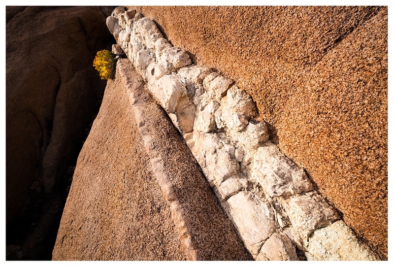  - Desert Vision