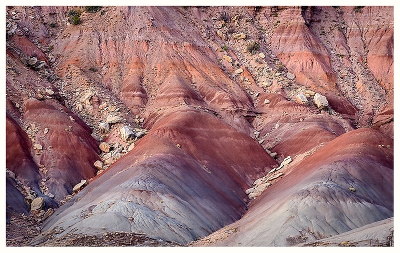  - Desert Vision