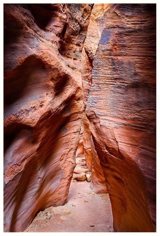  - Desert Vision