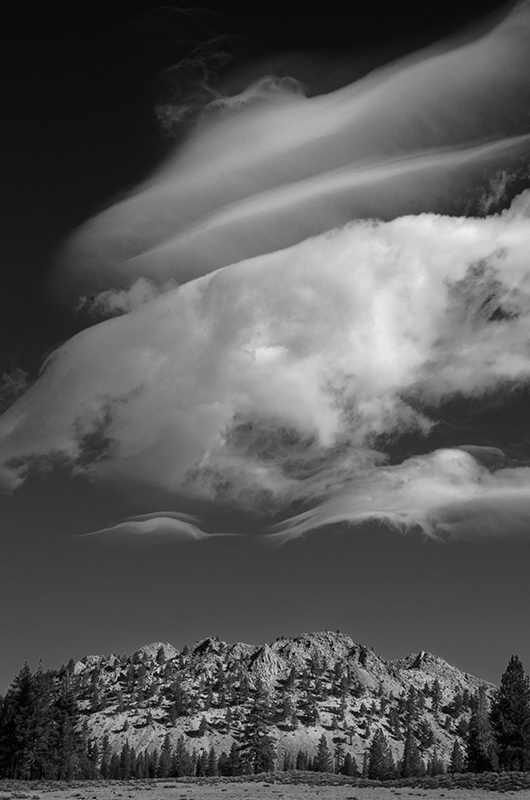 Black and White - Black and White