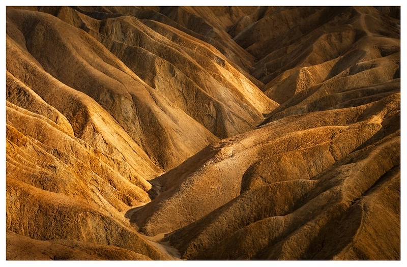  - Desert Vision