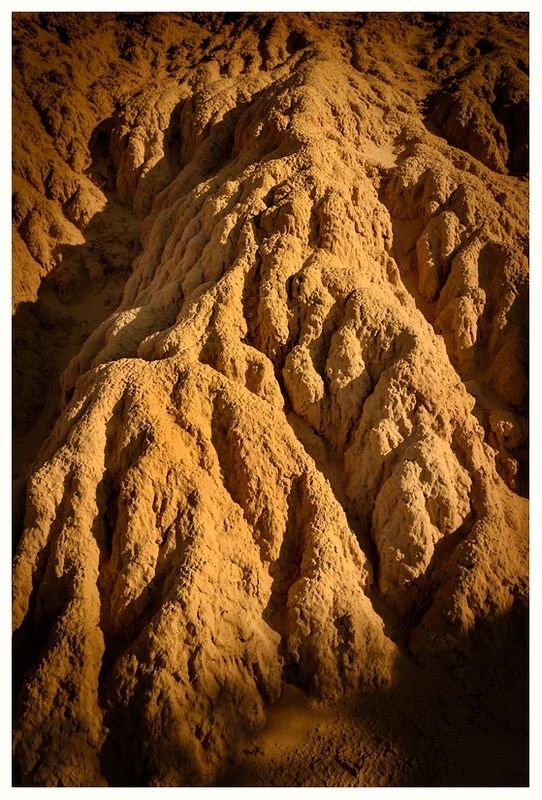  - Desert Vision