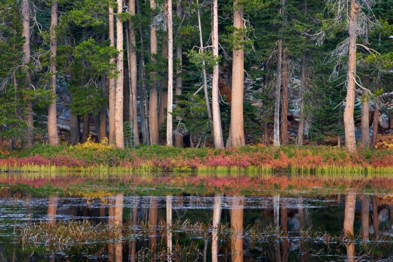 Autumn, Siesta Lake - Mountains