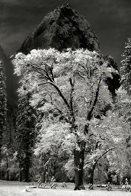 Black and White - Black and White