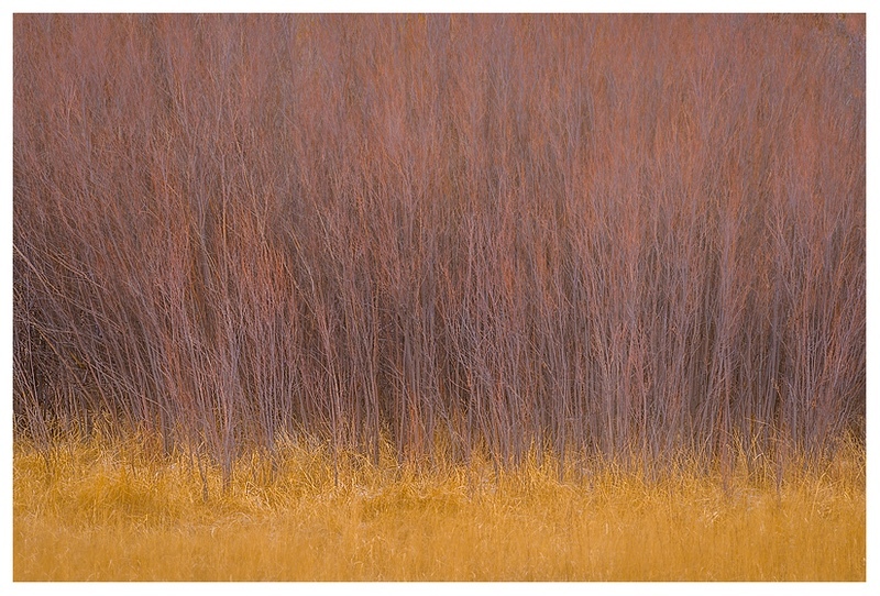Seasons End - Mountains
