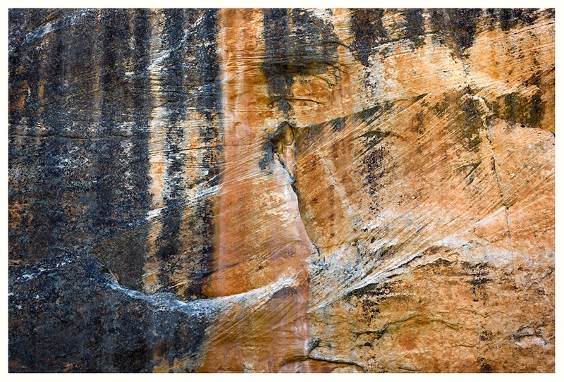  - Desert Vision