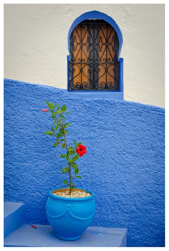 The Red Flower - Our World