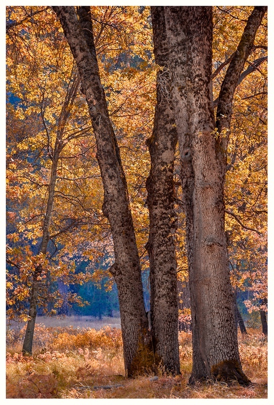 Autumn in the Valley - Mountains