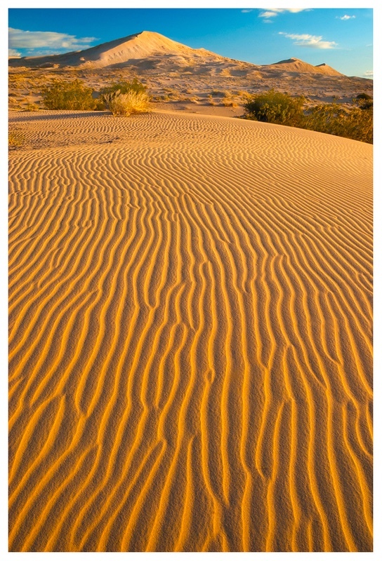  - Desert Vision