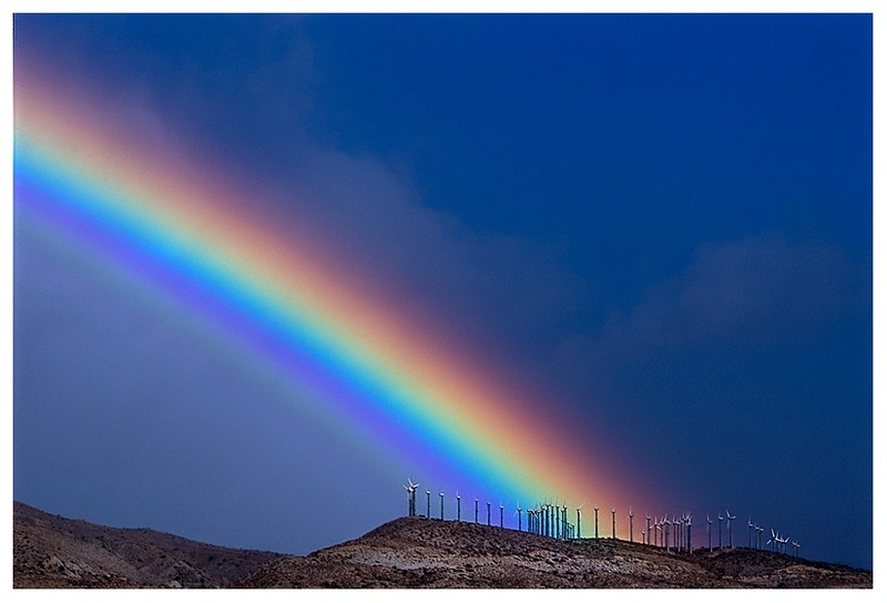  - Desert Vision