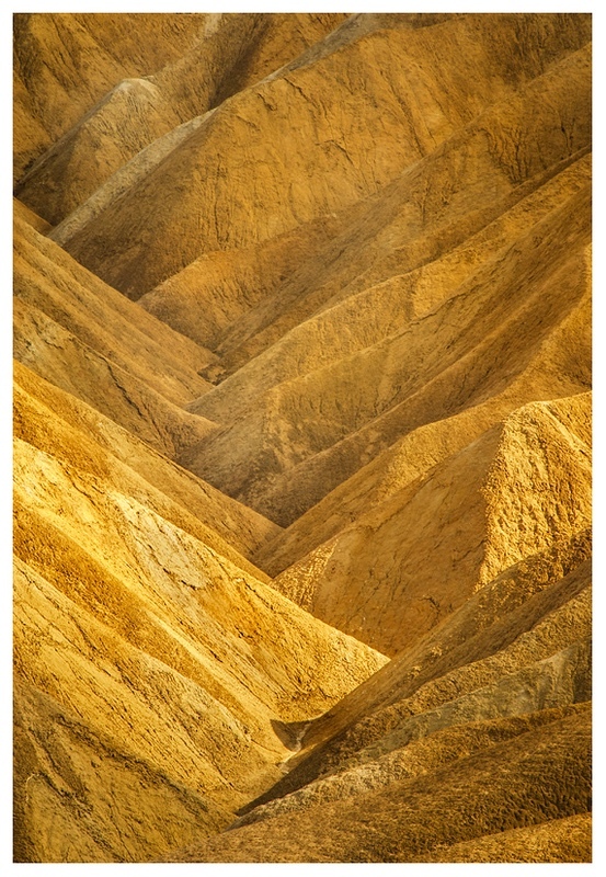 - Desert Vision
