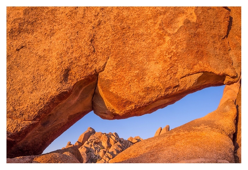  - Desert Vision