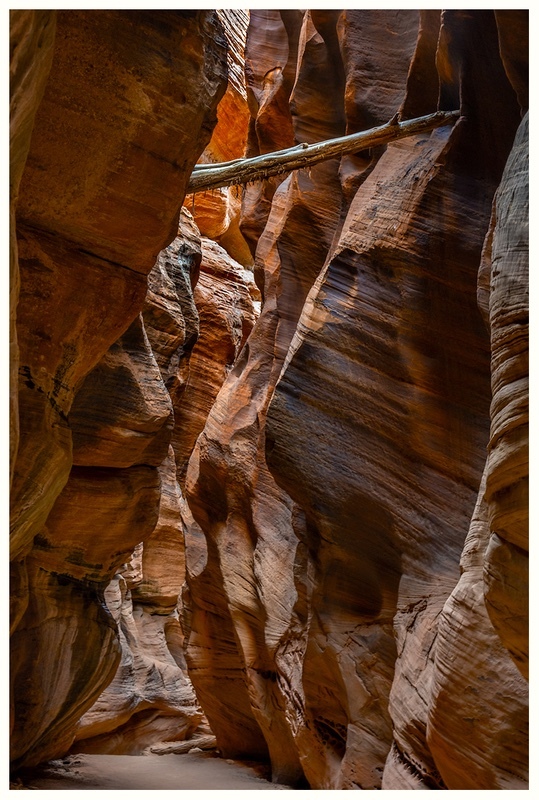Flash Flood Aftermath - Desert Vision