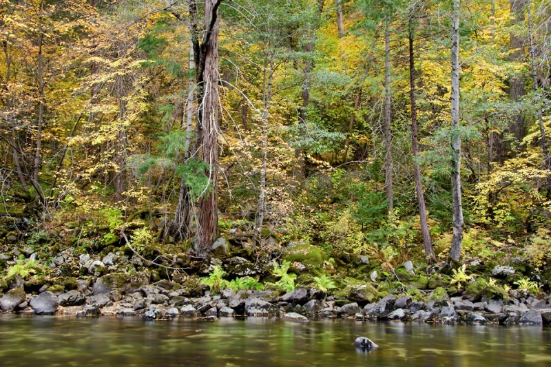 Fall on the Merced - Mountains