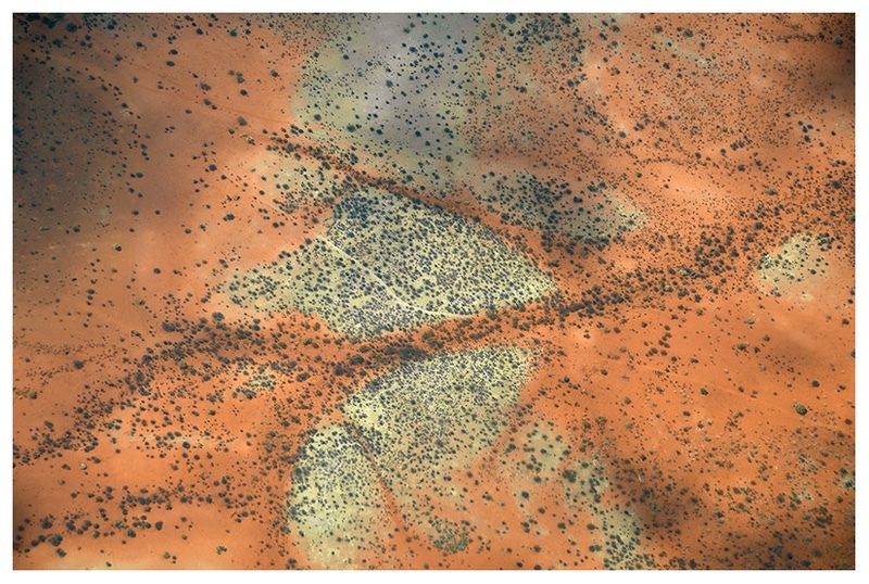 African Savannah - Our World