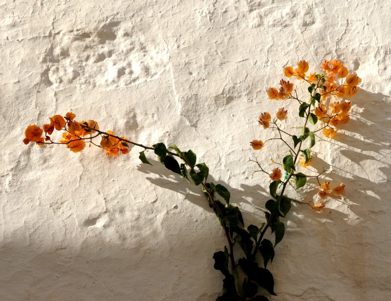 - CREATIVE