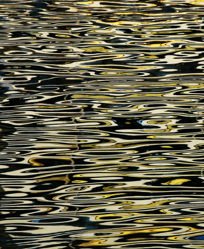 Monte Carlo - REFLECTIONS