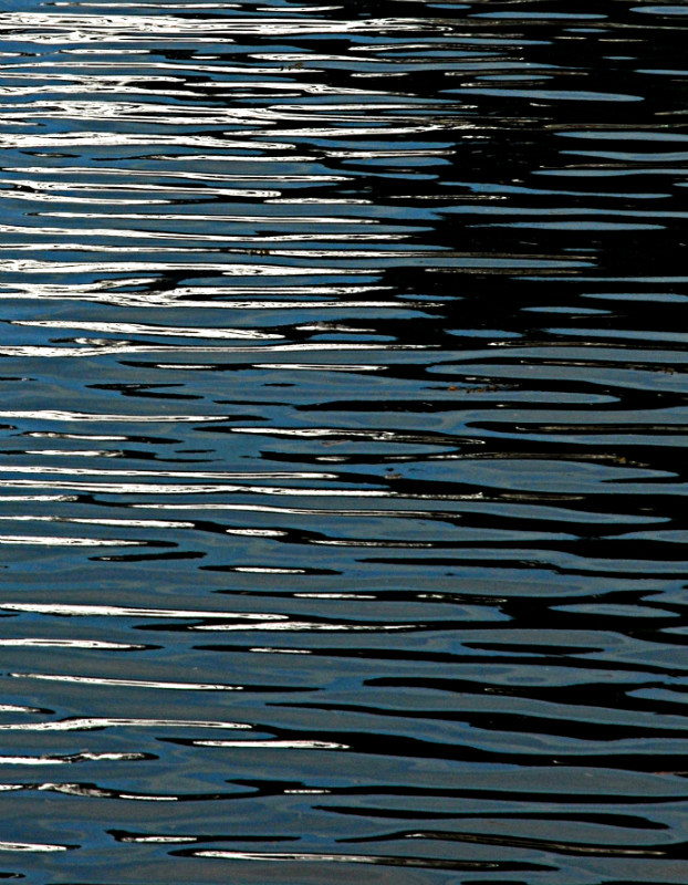 Juneau - REFLECTIONS