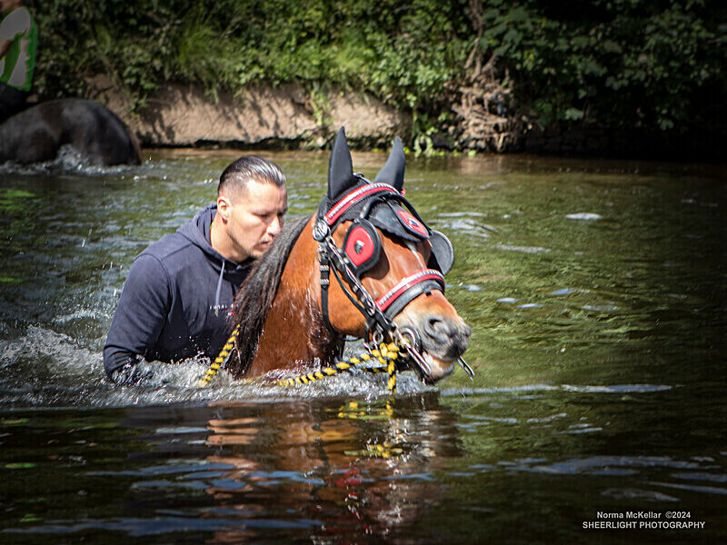  - APPLEBY HORSE FAIR 2024