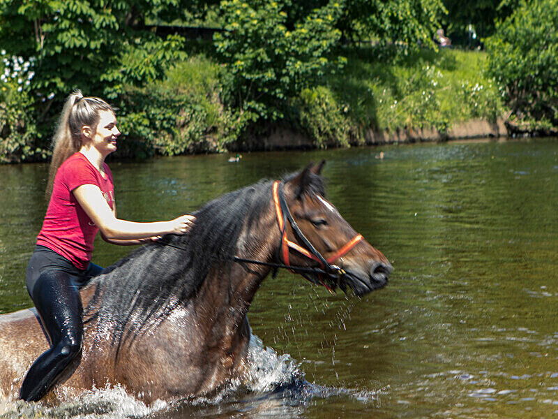 - APPLEBY HORSE FAIR 2024