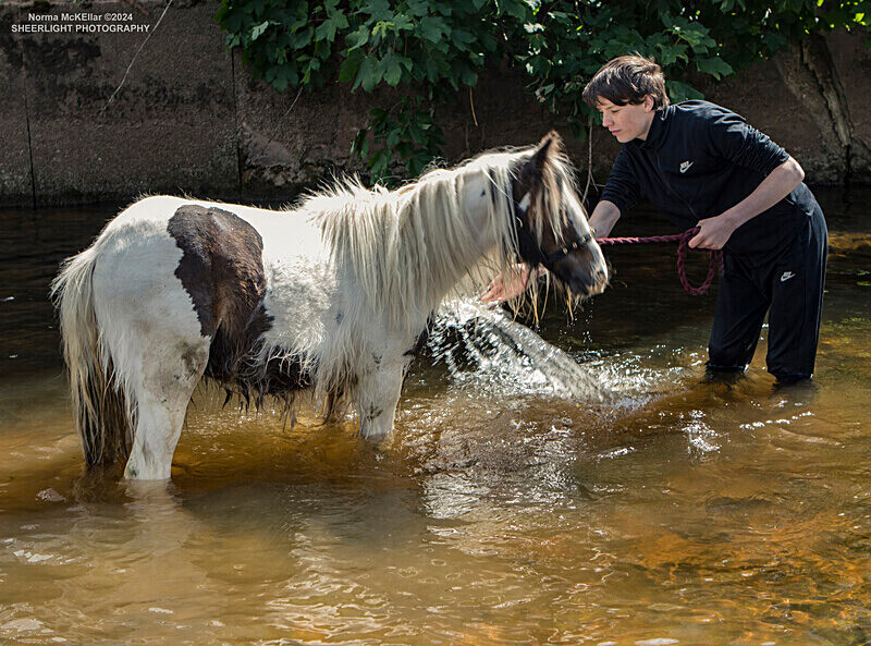  - APPLEBY HORSE FAIR 2024