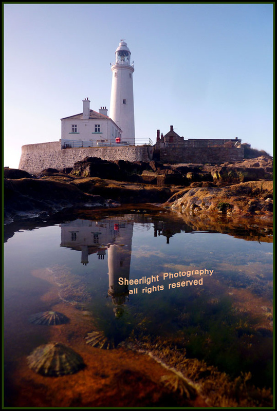 St mary's rock pool, Northumberland coast - St Mary's lighthouse, Whitley Bay: Gallery