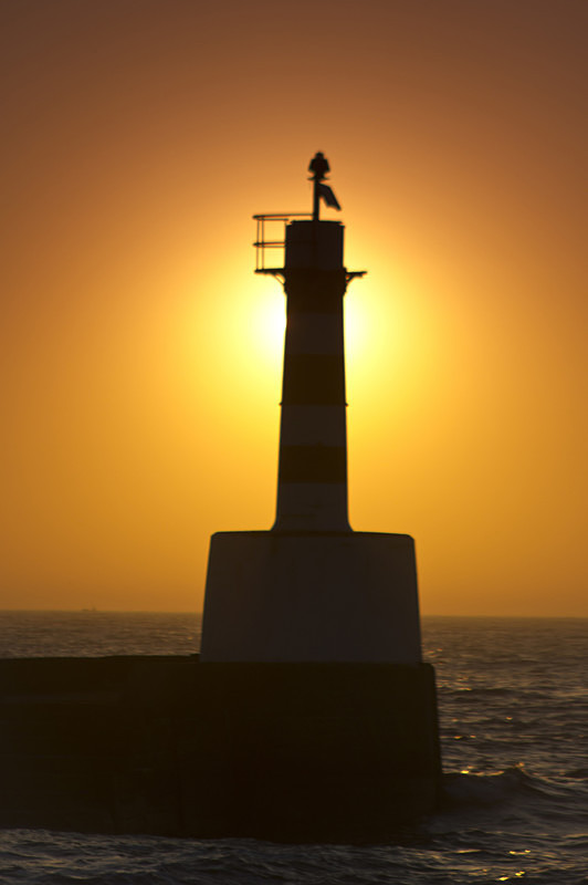 Amble dawn lighthouse portrait 12 inch  - AMBLE,  NORTHUMBERLAND