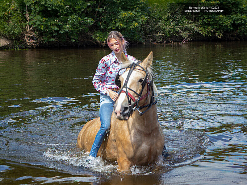  - APPLEBY HORSE FAIR 2024