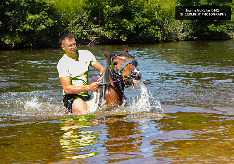  - APPLEBY HORSE FAIR 2024