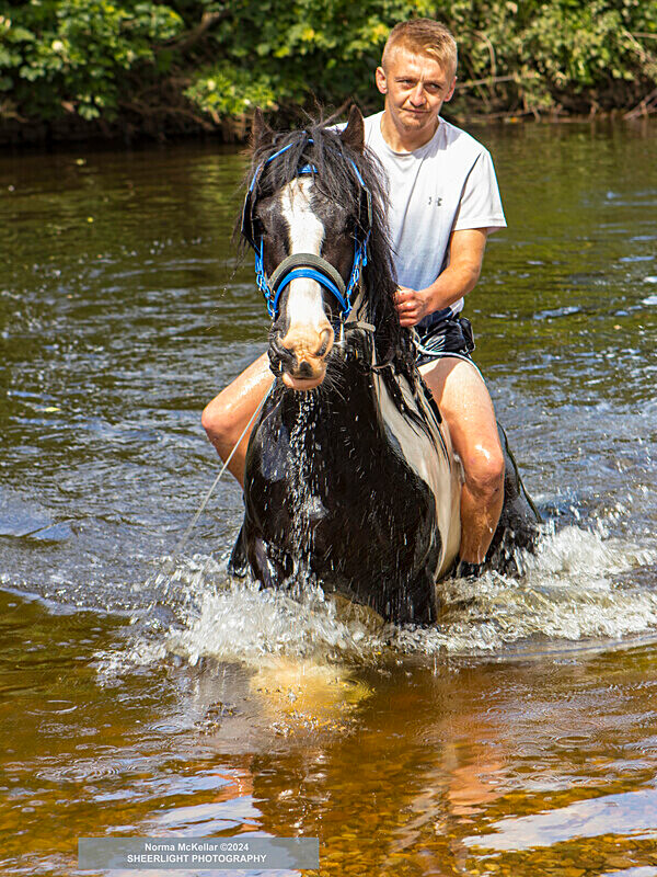  - APPLEBY HORSE FAIR 2024