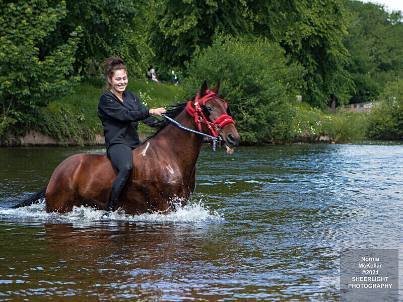  - APPLEBY HORSE FAIR 2024