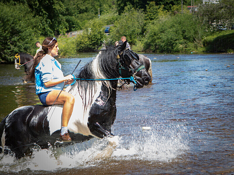  - APPLEBY HORSE FAIR 2024