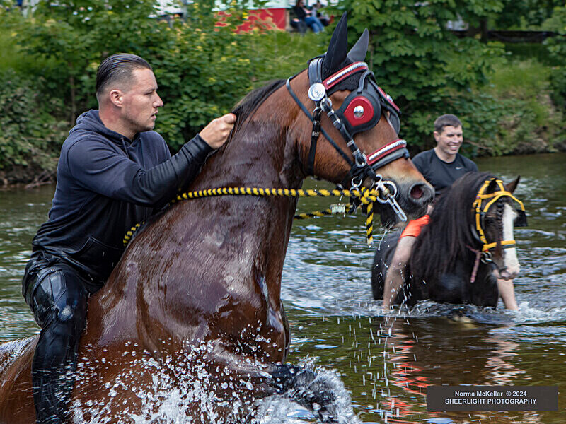  - APPLEBY HORSE FAIR 2024