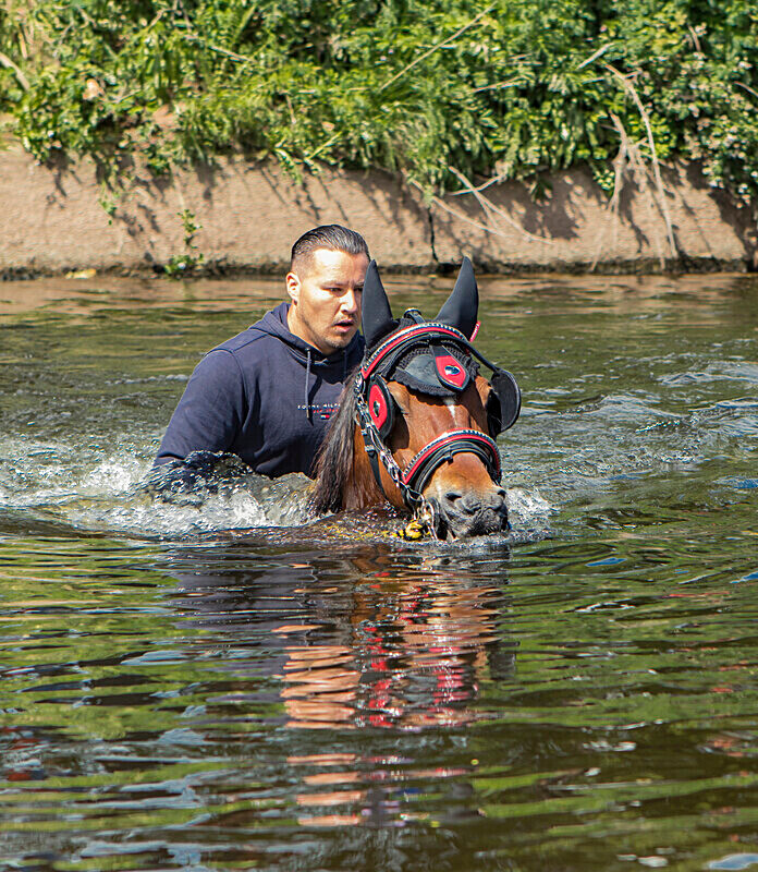  - APPLEBY HORSE FAIR 2024