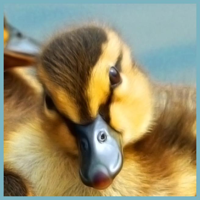 Is it spring yet? - WILDLIFE