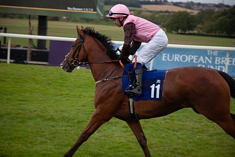 PONTEFRACT RACE 2025-9419 - PONTEFRACT RACES - LADIES DAY 2025