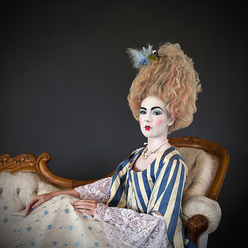 Marie Antionette  1755 -1793 - SUCCESSFUL ARPS - FEMALE FASHION THROUGH THE AGES