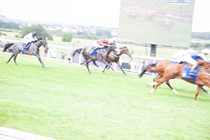 PONTEFRACT RACE 2025-9179 - PONTEFRACT RACES - LADIES DAY 2025