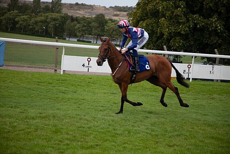 PONTEFRACT RACE 2025-9416 - PONTEFRACT RACES - LADIES DAY 2025