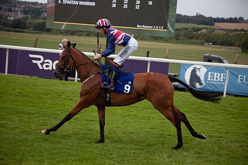 PONTEFRACT RACE 2025-9417 - PONTEFRACT RACES - LADIES DAY 2025