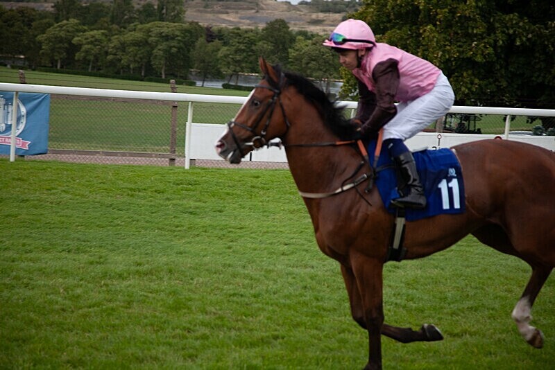 PONTEFRACT RACE 2025-9418 - PONTEFRACT RACES - LADIES DAY 2025