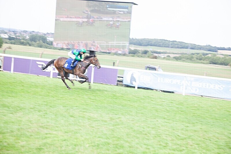 PONTEFRACT RACE 2025-9180 - PONTEFRACT RACES - LADIES DAY 2025