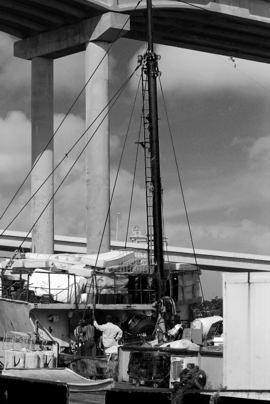  - Potters Cay - In Black & White