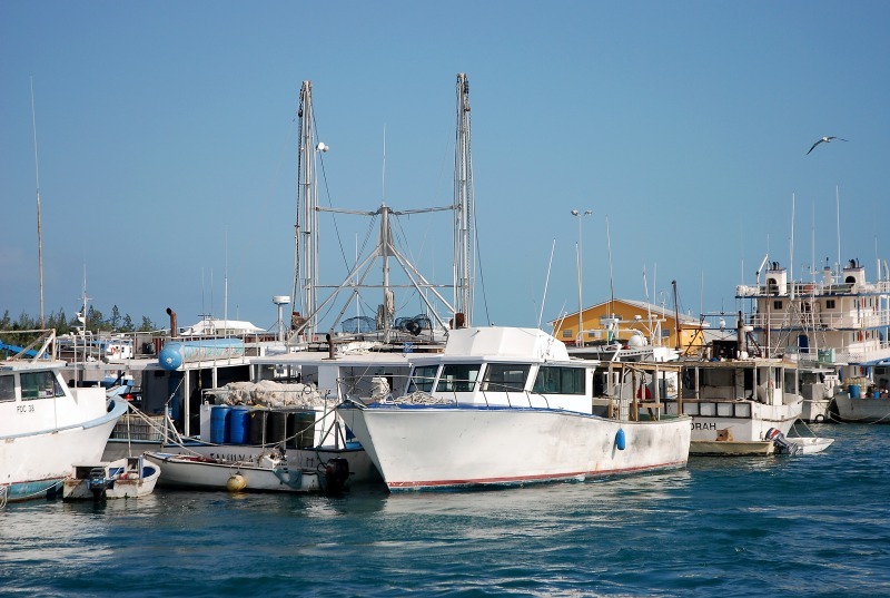  - Potters Cay In Color