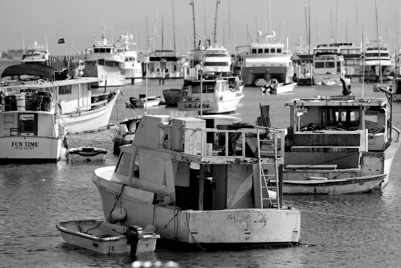  - Potters Cay - In Black & White