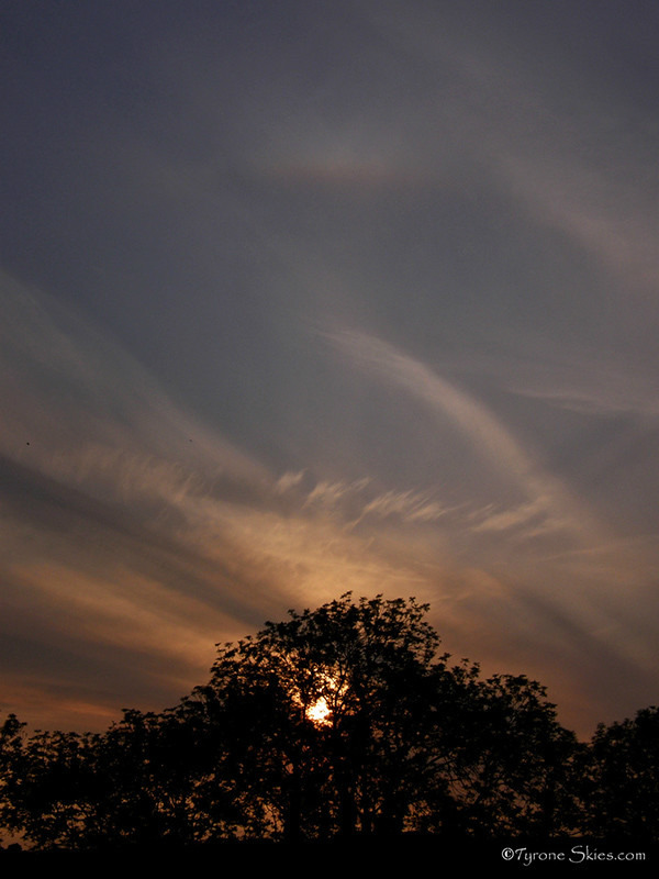 Tangent Arc - Atmospheric optics