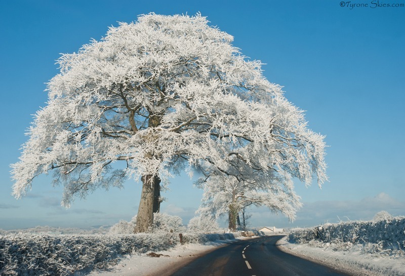 Severe winter