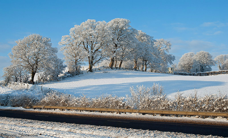 Hoar Frost