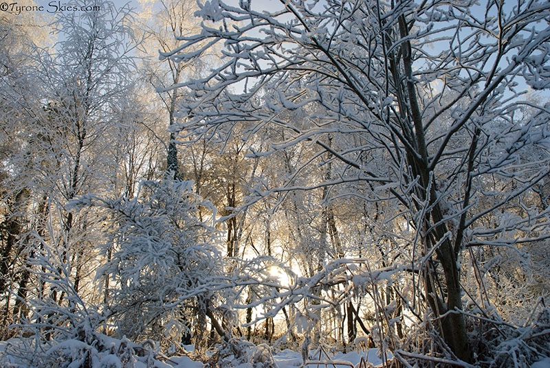 Ulster Amercian folk park winter